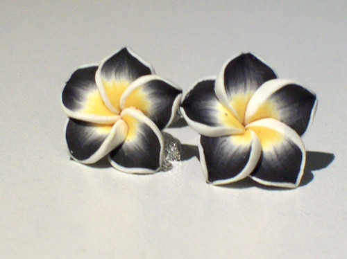 Ohrringe blüte hawaii schwarz - hawaii,